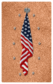 DNSHERT C 421 SH CP Flag at Rest Shimmer Copper